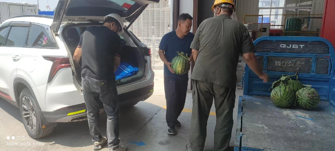 उन्हाळ्यात शीतलता पाठवित आहे, अत्यंत उष्णतेचा सामना करण्यासाठी प्रयत्न एकत्र करते